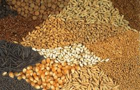 Food grains